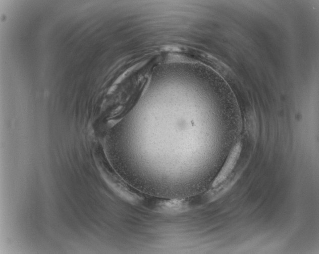 X0000080690092200612221103