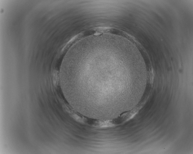 X0000080690093200612221103