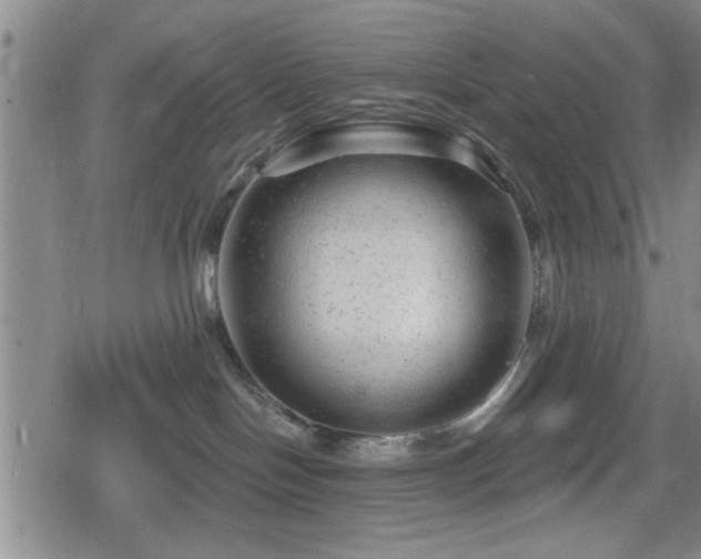 X0000080690094200612221103