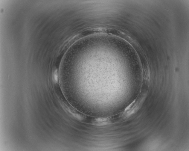 X0000080690095200612221103