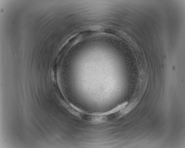 X0000080690096200612221103