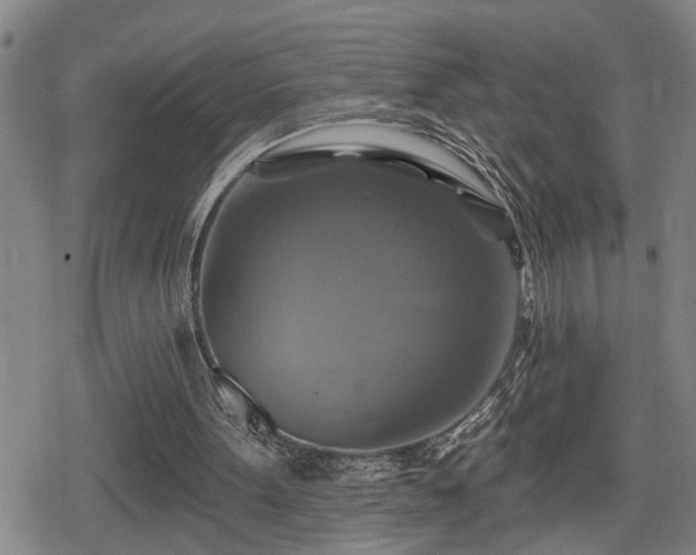 X0000080690099200612221103