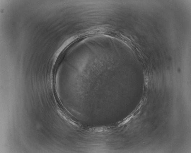 X0000080690100200612221103