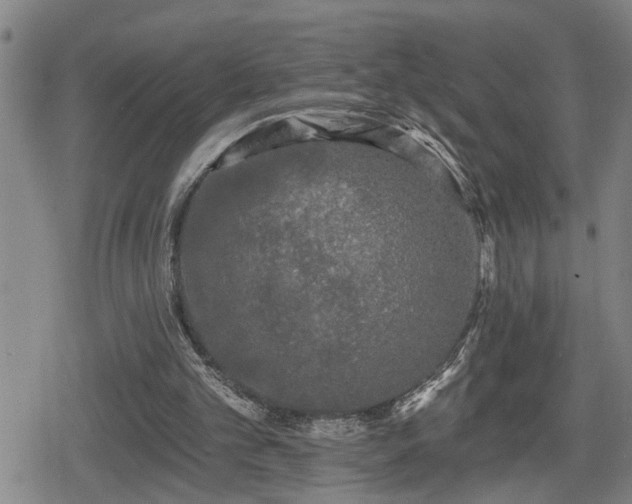 X0000080690101200612221102