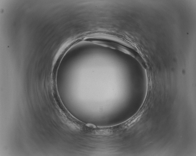 X0000080690102200612221102