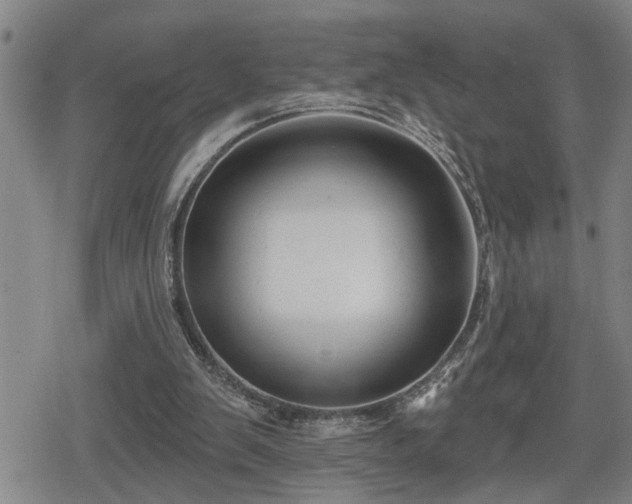 X0000080690103200612221102