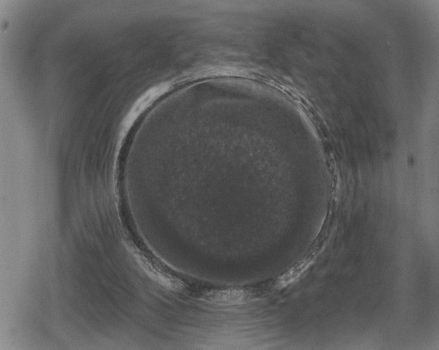 X0000080690104200612221102