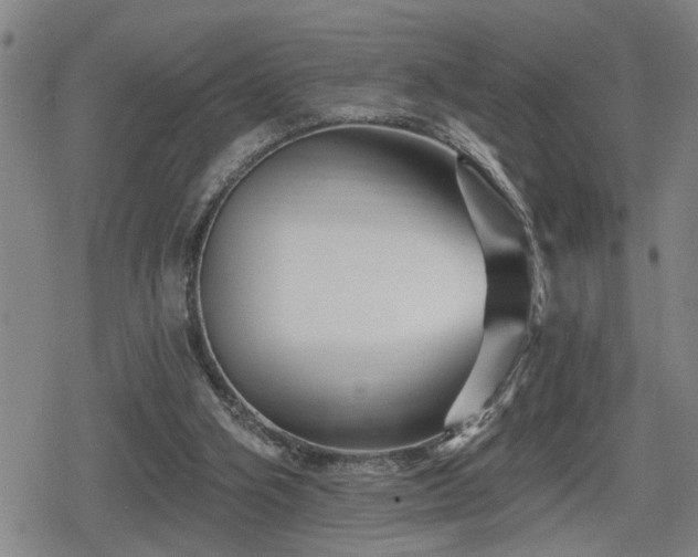 X0000080690106200612221102