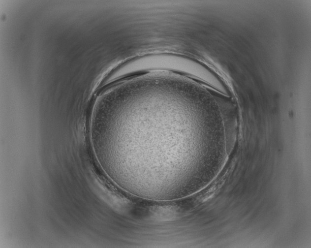 X0000080690107200612221102