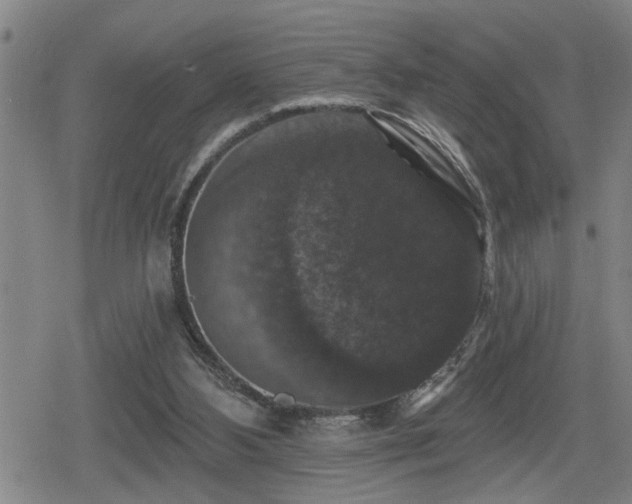 X0000080690108200612221102