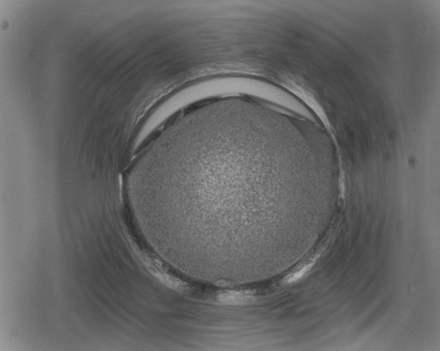 X0000080690109200612221102