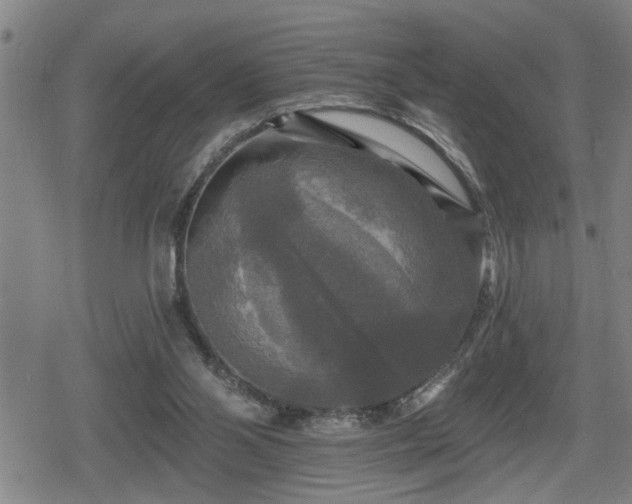 X0000080690110200612221102