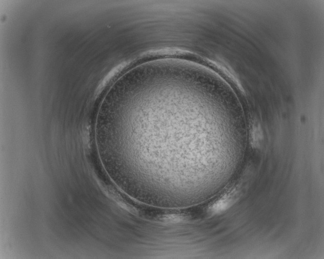 X0000080690111200612221102