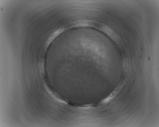 X0000080690112200612221102