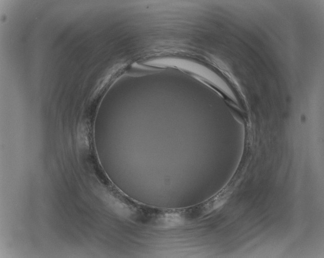 X0000080690114200612221102