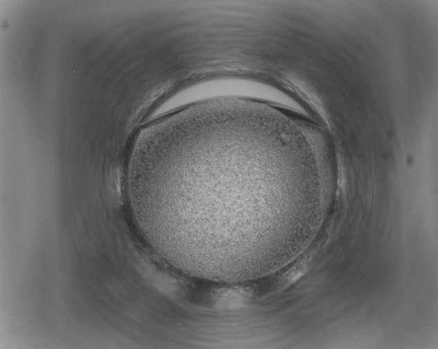 X0000080690115200612221102