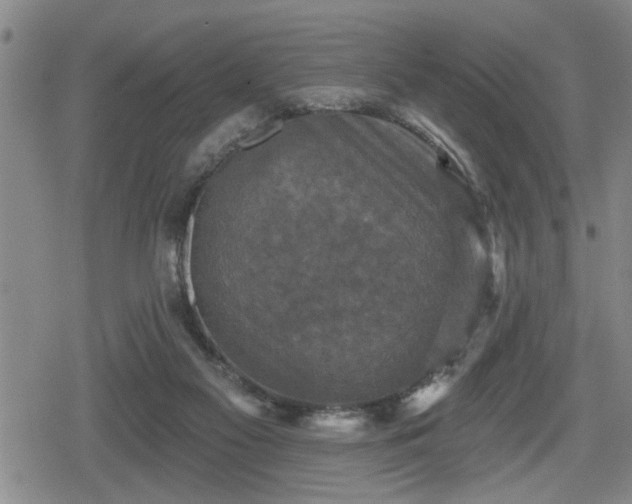 X0000080690117200612221102