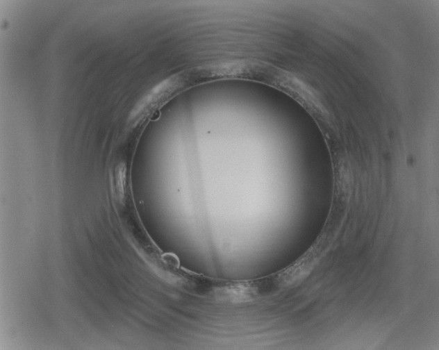 X0000080690118200612221102