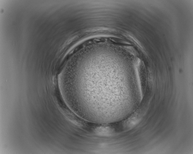 X0000080690119200612221102