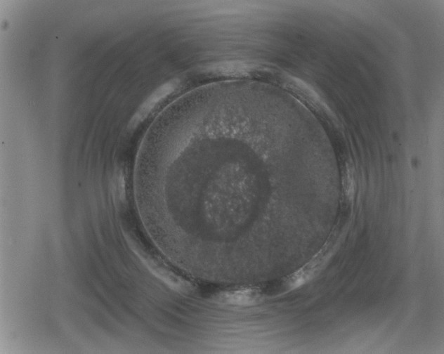 X0000080690120200612221102