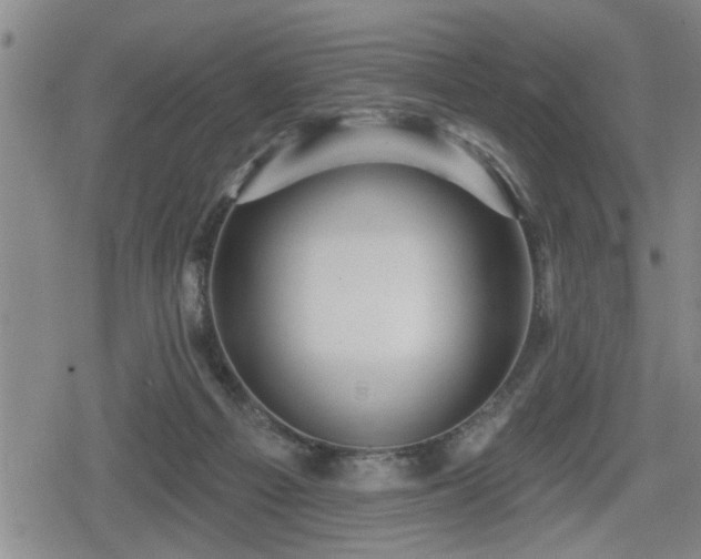 X0000080690121200612221102