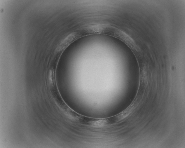 X0000080690122200612221102