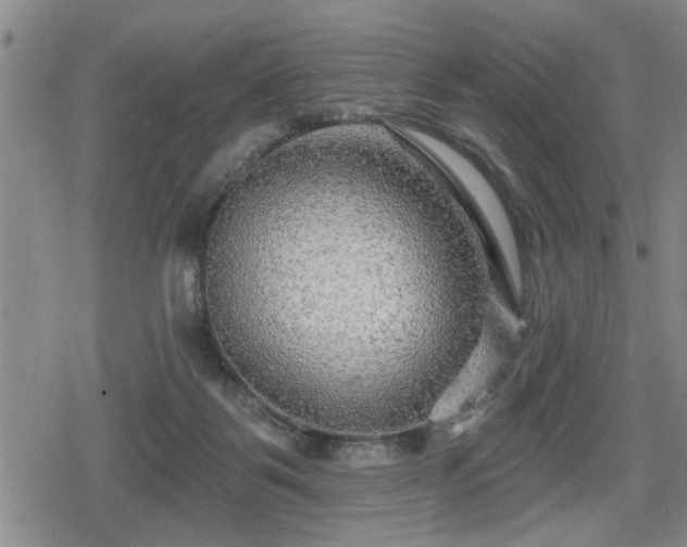 X0000080690123200612221102