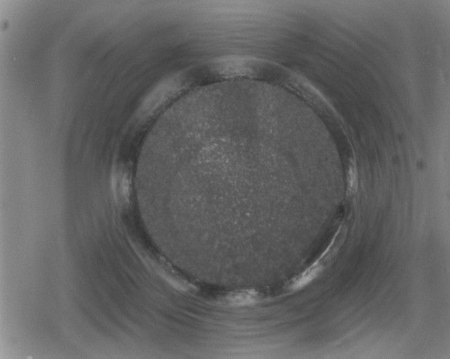 X0000080690124200612221102