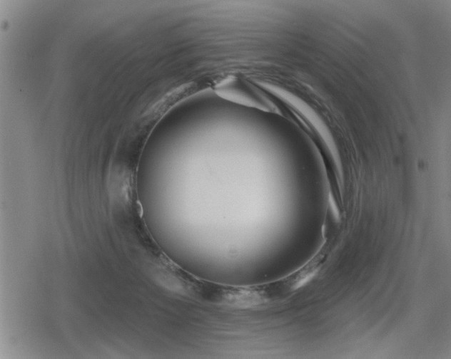 X0000080690125200612221102