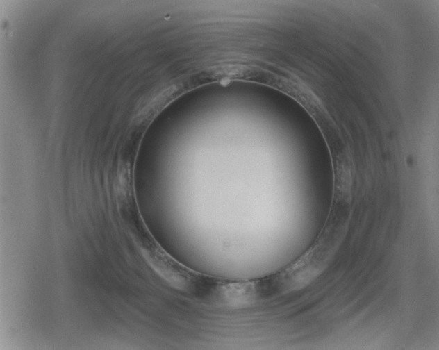 X0000080690126200612221102