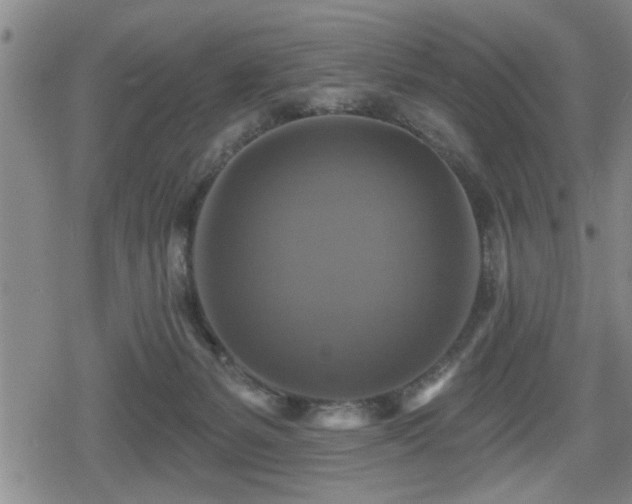 X0000080690127200612221102