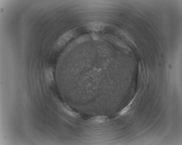 X0000080690128200612221102