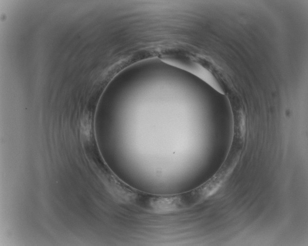 X0000080690129200612221102