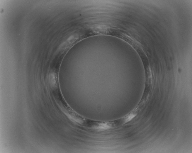 X0000080690130200612221102