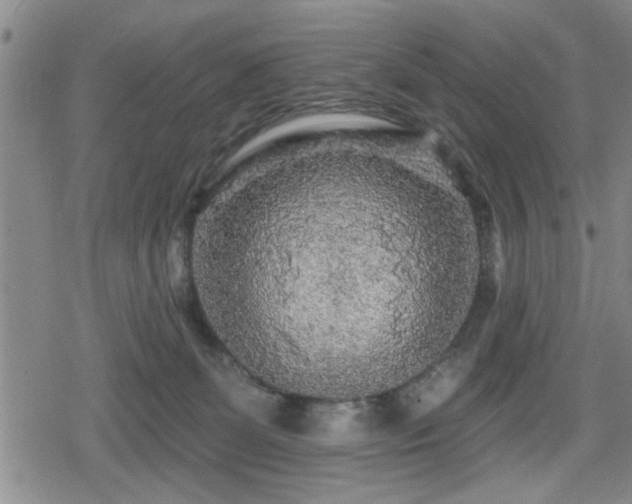 X0000080690131200612221102