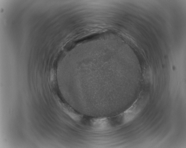 X0000080690132200612221102