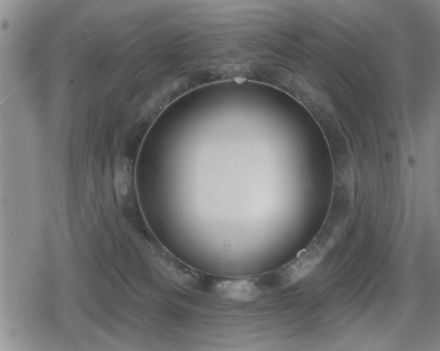 X0000080690133200612221102