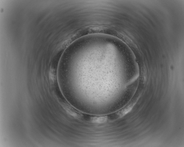 X0000080690135200612221102