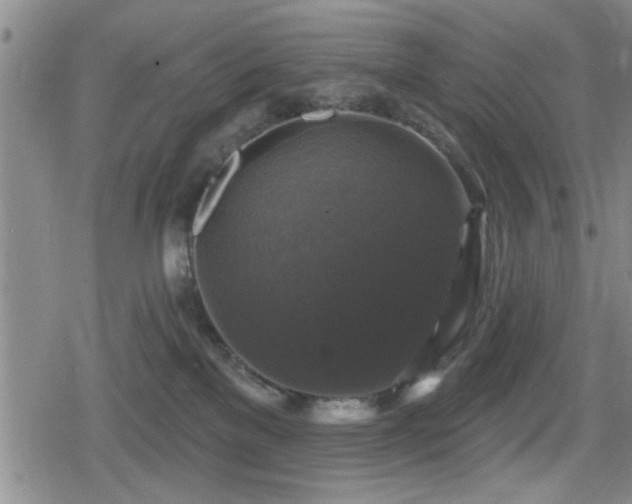 X0000080690137200612221102