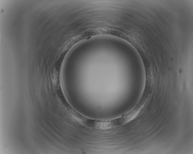 X0000080690139200612221102