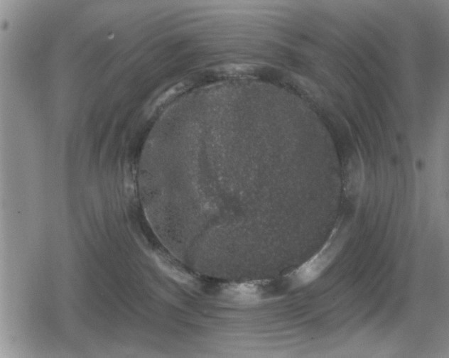 X0000080690140200612221102