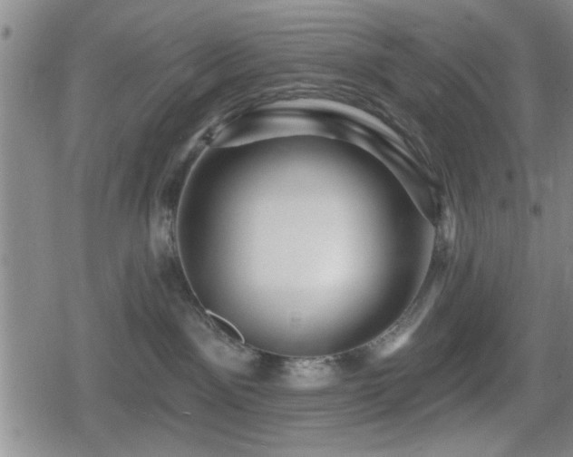 X0000080690141200612221102