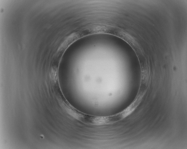 X0000080690142200612221102