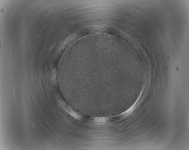 X0000080690144200612221102