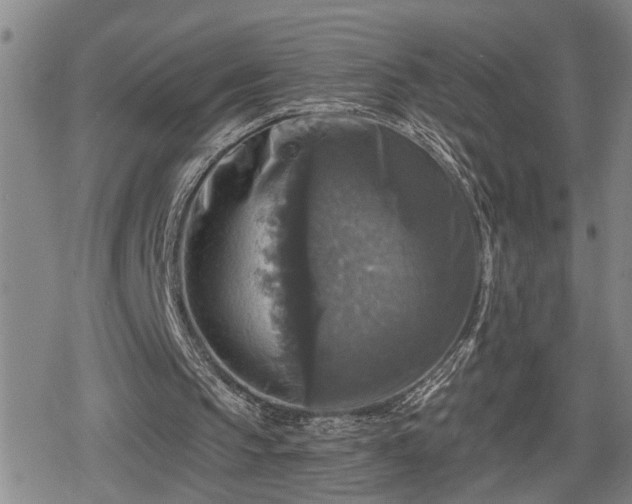 X0000080690145200612221101