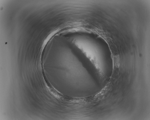 X0000080690147200612221101