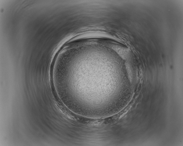 X0000080690148200612221101