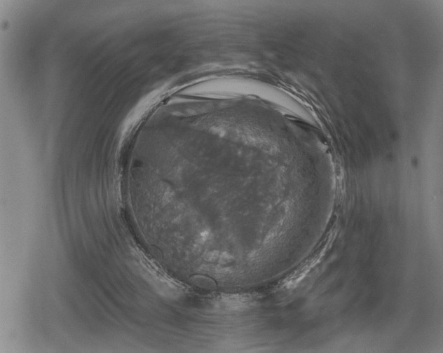 X0000080690149200612221101