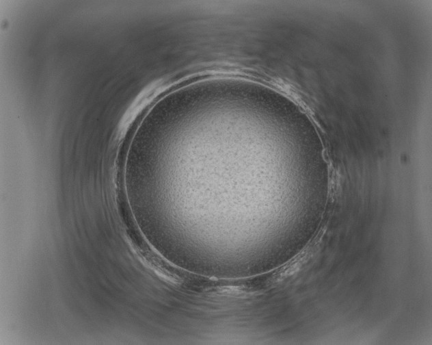 X0000080690151200612221101