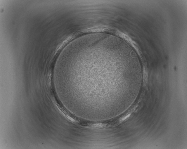 X0000080690153200612221101